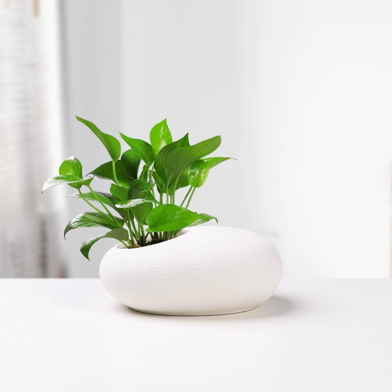 Медные деньги Трава Чаша Лилия водяная Лилия гидропонный цветочный горшок творческие деньги трава зеленая Роза непористый керамический горшок оптом офисные украшения