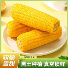 ���r�SŴ�����ճ���װ����10֧���לp�Fժ��|�����׷Ǽ�ʳܛŴ