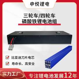 比亚迪刀片电池磷酸铁锂电池电动三四轮车60v72V电瓶智能防护