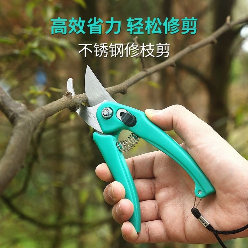 园艺进口剪刀修枝剪省力DX花剪园林树枝园艺专用小型便捷修枝剪