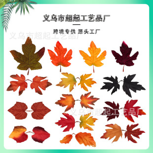 ������~���컨�}�Q�Ɍ�ë��������~�~Ƭ��ɫ�f�}������l�~Ƭ