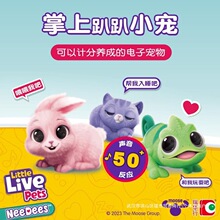 littlelivepets����ſſС�����������û����B����ӌ����������