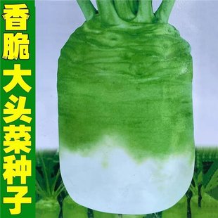 ��ֻ�u�·N�����ڴ��^�˷N�Ӹ�����ý���＾ �����ݲ��߲�