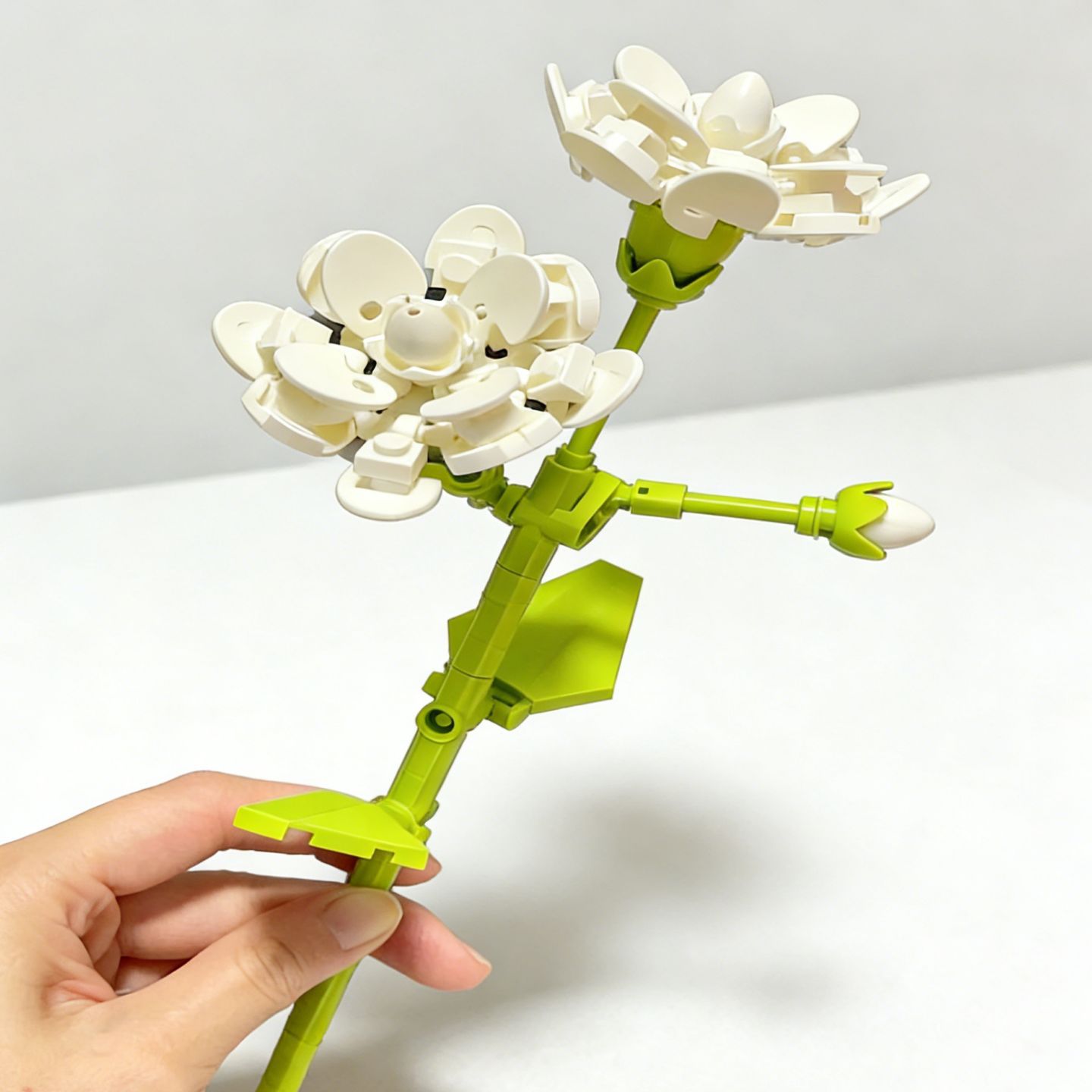 茉莉花（袋装）