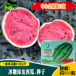 �r����ǾG�����ϷN������E�A��tȿ���ϷN������֭���������l