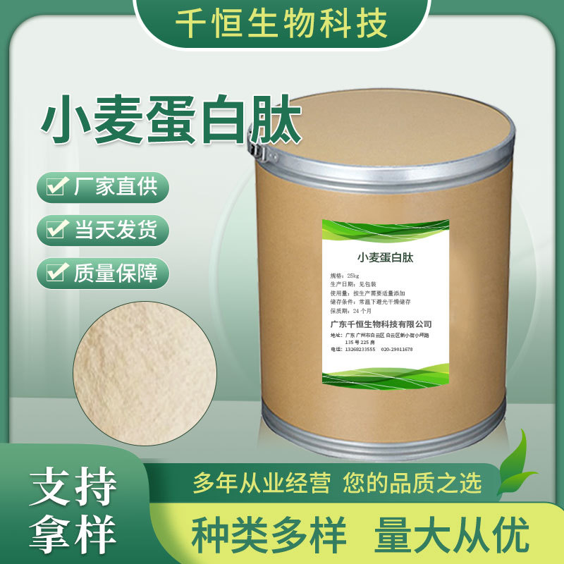 厂家批发小麦蛋白肽 食品营养型水解小麦蛋白量大价优小麦蛋白肽