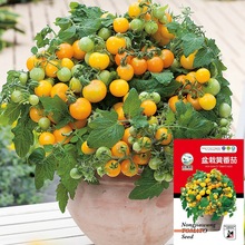 ���������S���ѷN���߲˷N�������С���t���S�}Ů���ļ����̨��