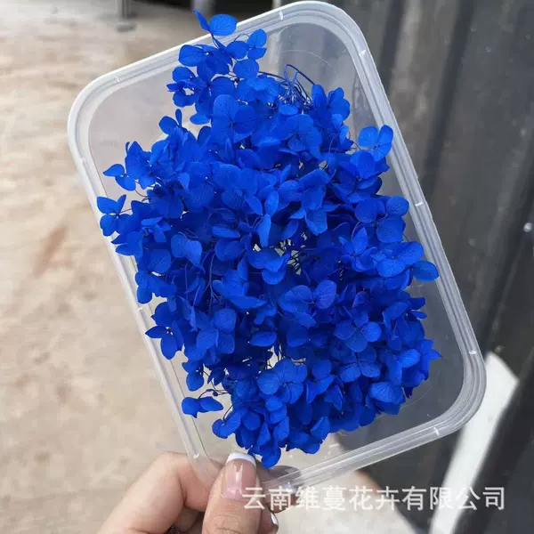 Deep treasure blue