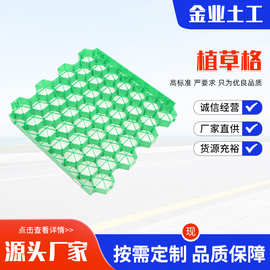 HDPE塑料植草格 停车位消防通道植草砖 园林绿化草坪护坡植草格
