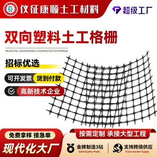双向土工格栅路基矿山涵洞加固围栏防护网格双向拉伸塑料土工格栅