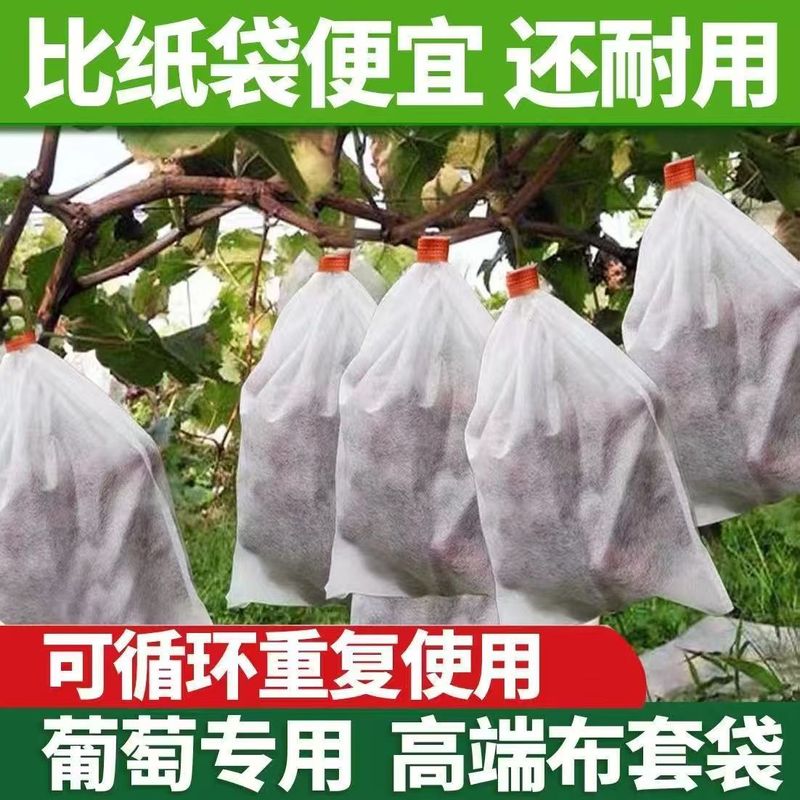 果物防鳥防虫網袋瓜果保護袋無花果ビワブドウ網袋桃いちご保護カバー|undefined