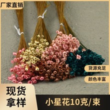 幻花永生花小星花束diy材料包干花玻璃罩七夕配饰生日婚礼鲜花