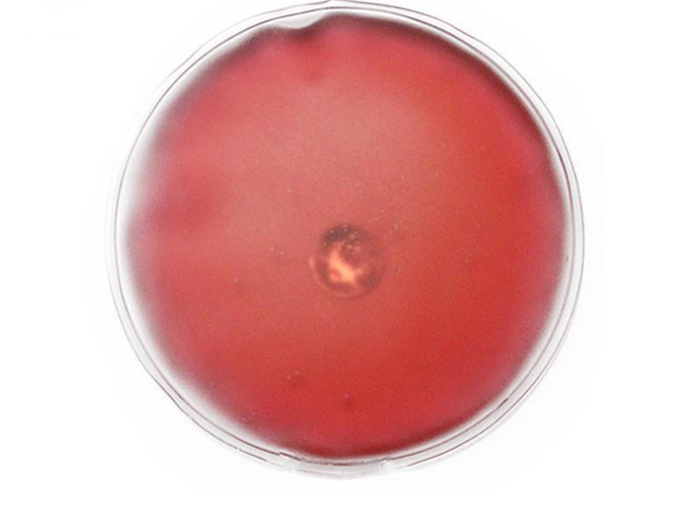 微信截图_20221201131016