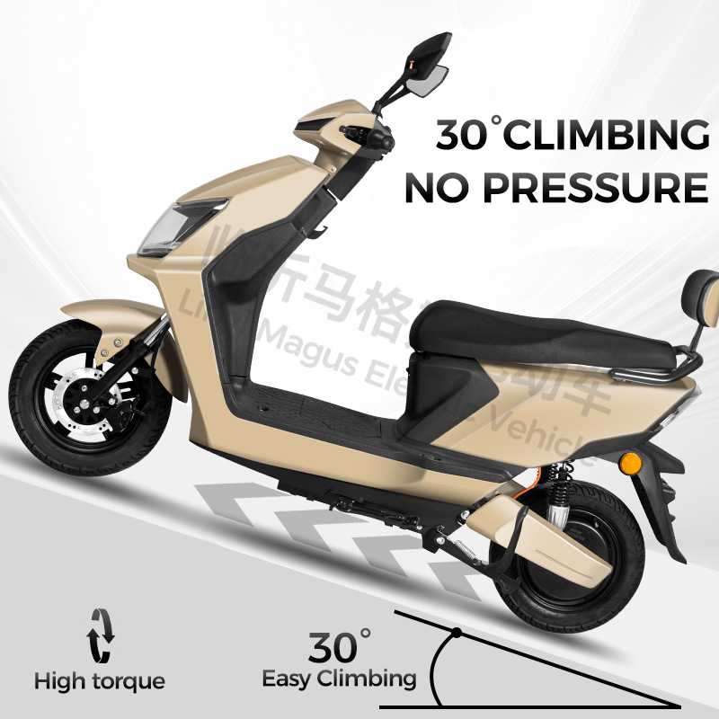 Scooter Eléctrico H8 de Dos Ruedas para Adultos, Bicicleta Eléctrica de Movilidad Asistida, Bicicleta Eléctrica Exclusiva Transfronteriza, Motocicleta Eléctrica