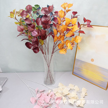 ����Gֲ�����~��c��Y�Ø�֦���ߵ�픲廨�O���������b����l