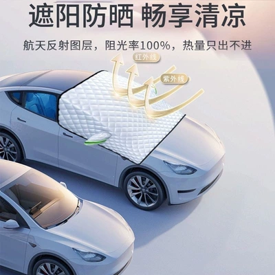 cover, specialized for small cars, front: Car snow shield