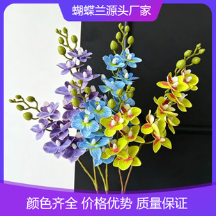 12�^�zƬ��������m���滨�͏d���P�b���c�������û�ˇ�廨