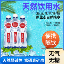 �½����ȵ��K����ˮ500ml��ζ̼�����abida sodaƿ�b���b�K��ˮ