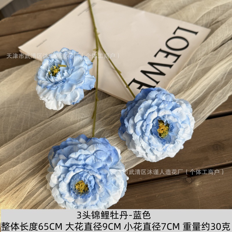 잉어 모란 3개