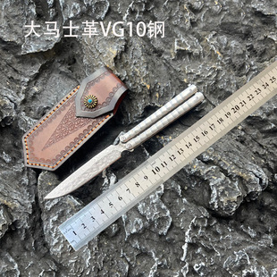 ����˦���Rʿ��VG10�呴��ֹ���Ӗ���۵���y��Ӳ�Ȱ�ȫδ�_��