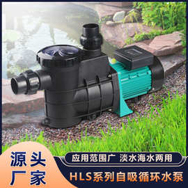 森森泳池水泵 游泳池鱼池增氧养殖自吸循环增压抽水泵泳池水泵