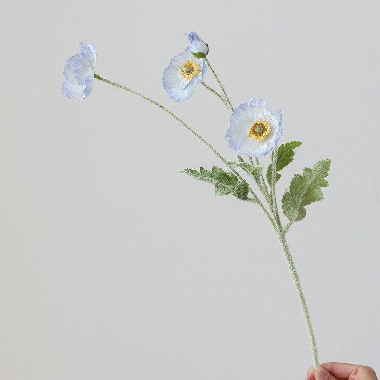 [1] 깨진 아이스 블루