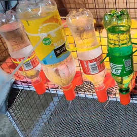 喂导水器信鸽用品水鸽鸽子用品用具鹦鹉双口水壶自动饮水器具鸟用