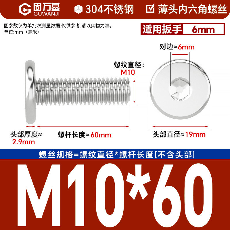 304 M10*60
