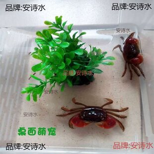 ����з����з�[��؛����з�^�pз��܊з��ˮ�з����ˮ�������l