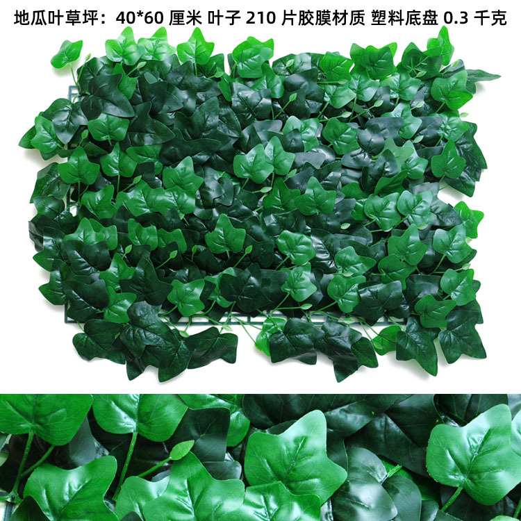 Sweet potato leaf lawn