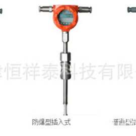 供应HGF-3000F插入式热式气体质量流量计   测量气体质量流量