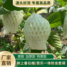 水果保护防虫袋芭乐果袋加厚番石榴网套袋袋网袋防鸟一体套袋