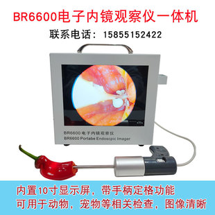 BR6600 All -IN -One Animal Electronic Image Наблюдение с высоким изображением с высокой фиксированной функцией