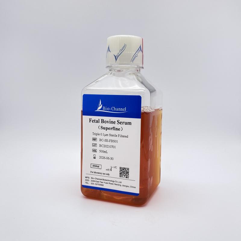 胎牛血清 Fetal Bovine Serum（Superfine）