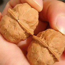 厂家直销原皮铁核桃蛤蟆头手把玩核桃大量批发