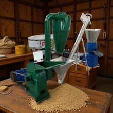 �ն����������C �����Bֳ������w���C ��������w���ӹ����a��