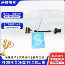 新能源汽车内部线束汽车连接线整车线束端子线新能源汽车线束电动