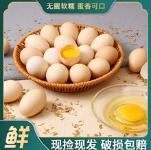 �r�ҹ����u�����r�r��ɢ�B���u�����u�����u���r�u���F�쵾�����b