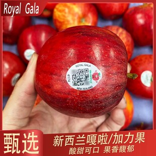 �����m�����O��ˮ�����r �����M�ڼt�O��gala�����O����S���]