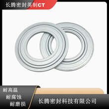 _˹NILOS-RINGSܷw30*72*4Sжw30*72LSTO