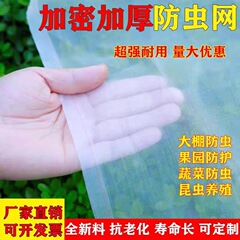 防虫網40目80目野菜ハウス厚い果樹植物豚場防虫網カバーバッタ養殖防虫網