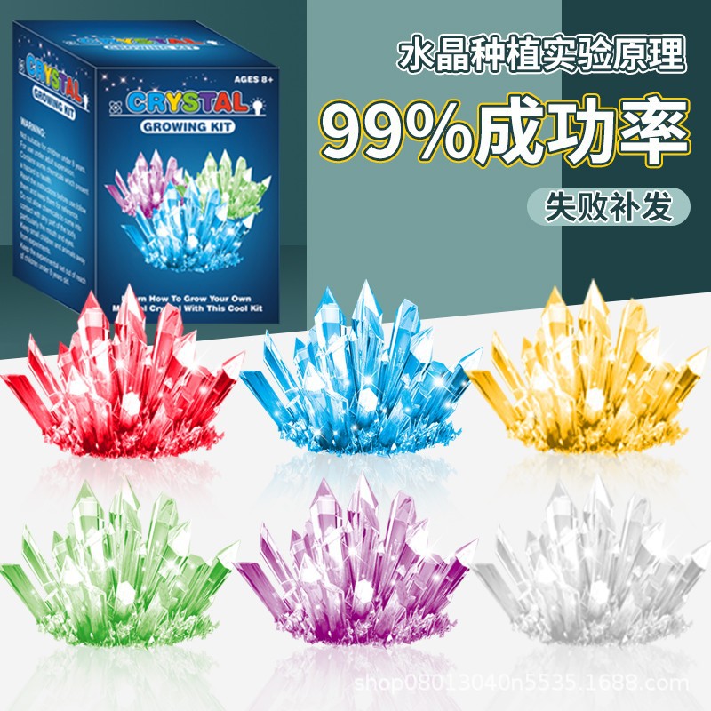 Children's Educational Fun Science Experiments DIY Handmade Crystal Growing Chemistry Plant Crystal Cultivation