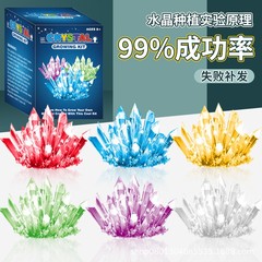 Children's Educational Fun Science Experiments DIY Handmade Crystal Growing Chemistry Plant Crystal Cultivation