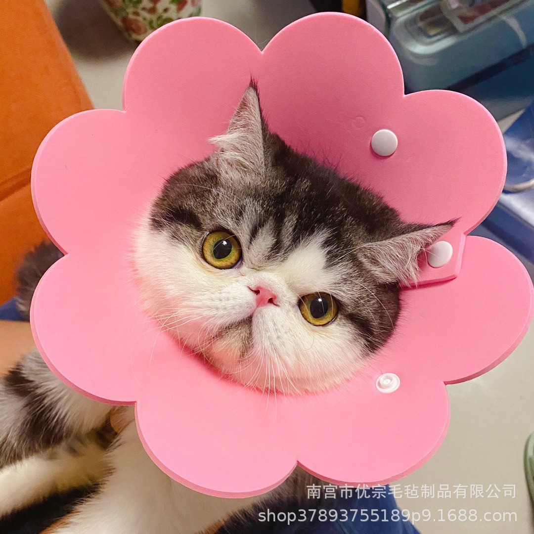 Gato Elizabeth collar felt cubierta para la cabeza artículos para gatos collar para mascotas anti-laging vergüenza anillo diseño de dibujos animados