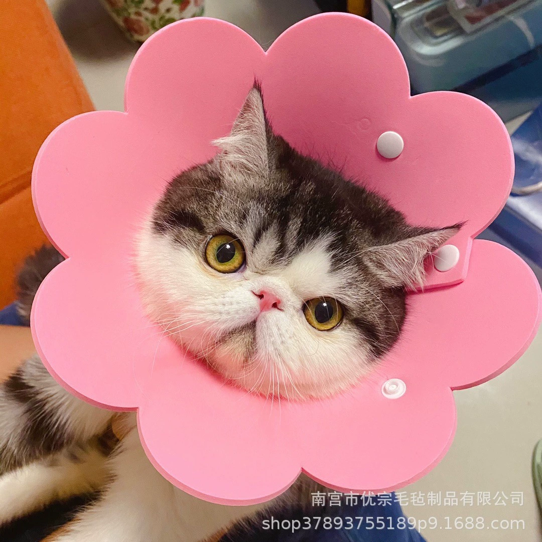 Ошейник для кошек "Элизабет" с фетровым покрытием, ошейник для защиты от вылизывания, антилизательный ошейник для питомцев, дизайн в виде мультяшного персонажа.