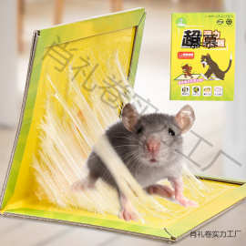 捕鼠粘鼠板  家用老鼠笼沾胶夹药抓捉大老鼠贴驱粘合力强量大优惠