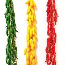 ���L�߲˴���r�Ҙ���偵�������׃��@�h���b���������