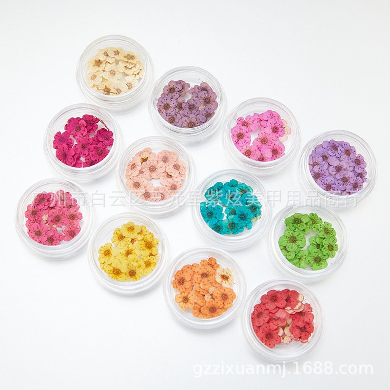 Nail Art Dried Flower Materials, Daffodil Nails, Three-Dimensional Multi-Color Five-Petal Flower Set, Pressed Flower Nail Decorations, 20 Pieces