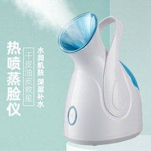 热雾蒸脸器 面部纳米离子喷雾补水仪 面部spa迷你锁水护肤OEM厂家