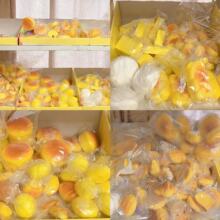 ��ܛ��ճС̖�������С�����؏�����ָ�≺��߰lй���ܛ�ָк�